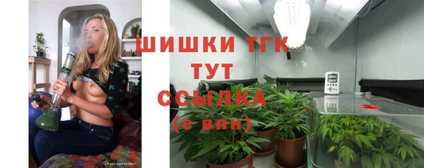 PSILOCYBIN Армянск
