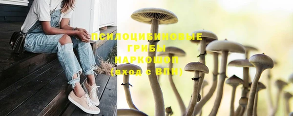 экстази Аркадак