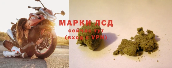 PSILOCYBIN Армянск