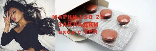 PSILOCYBIN Армянск