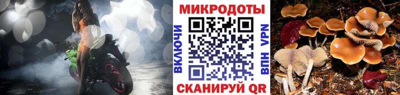 нарко площадка Telegram  Белинский  Псилоцибиновые грибы прущие грибы 